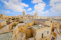 AHI Malta.jpg