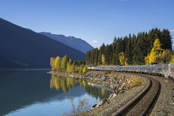 VIA Rail - Fall Train.jpg