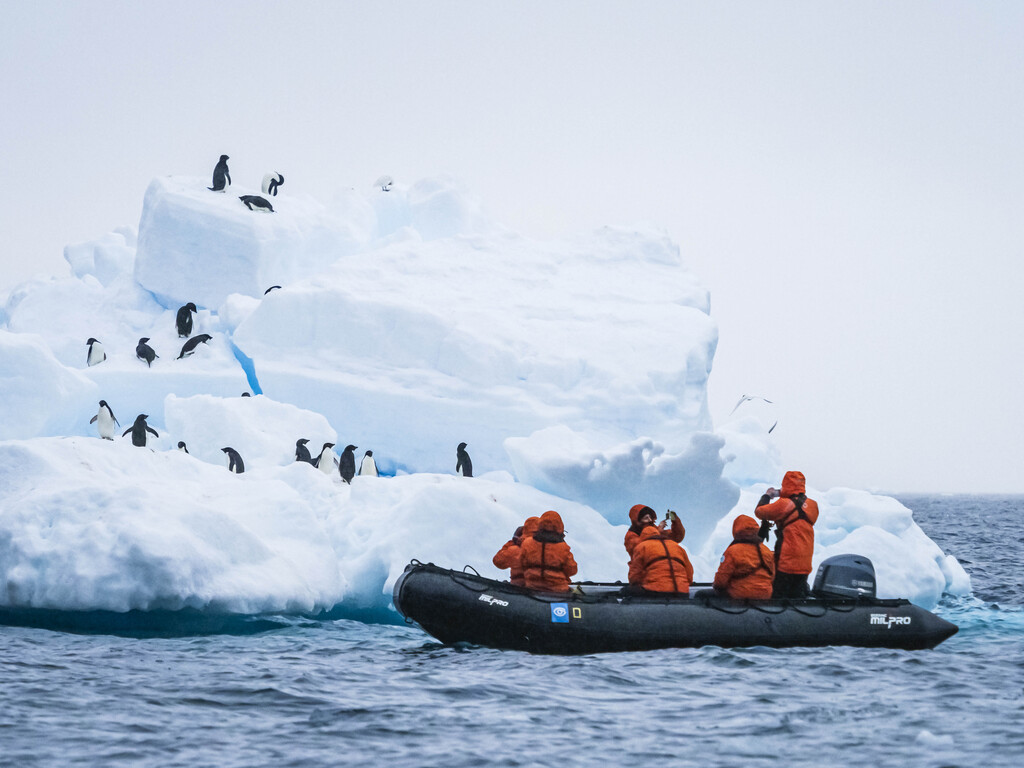 Medium RGB-Lindblad Expeditions-Antarctica ANT22-25262.jpg